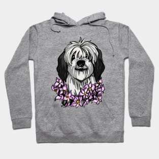 O is for Old English Sheepdog and Orchid Hoodie